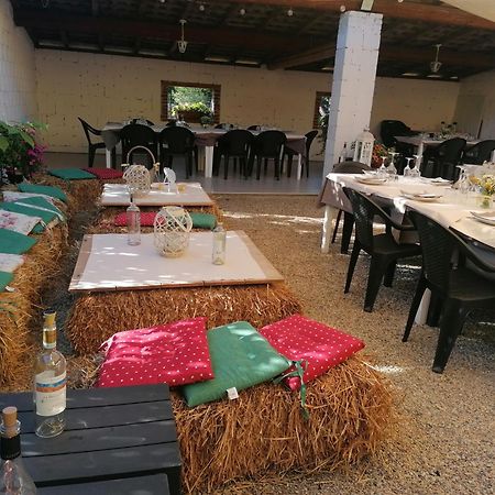 Agriturismo Il Vecchio Portico Francavilla Bisio エクステリア 写真