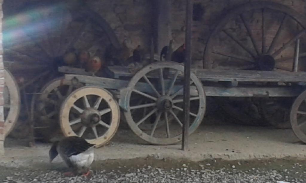 Agriturismo Il Vecchio Portico Francavilla Bisio エクステリア 写真